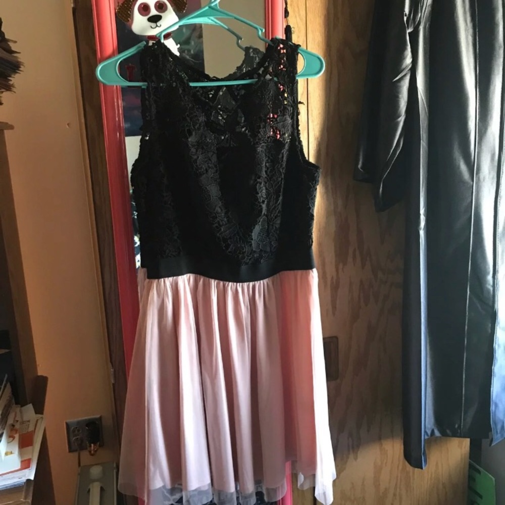 Pink and Black Lauren Conrad Dress